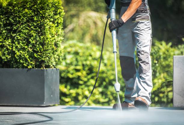 Professional Pressure Washing Services in Rio Grande City, TX