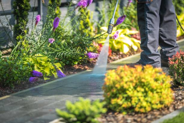 Best Driveway Cleaning and Restoration in Rio Grande City, TX