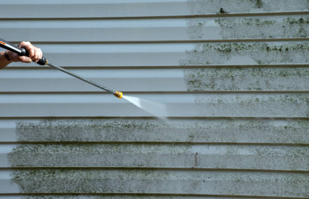 Best Sidewalk and Walkway Pressure Cleaning in Rio Grande City, TX